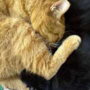 ヒメ日記 2025/02/20 22:07 投稿 のん 横浜回春性感マッサージ倶楽部