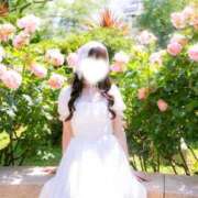 ヒメ日記 2026/05/12 12:11 投稿 はな（極上SPコース対応） LIGHT（ライト）～光が導く無限の可能性～