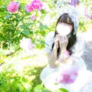 ヒメ日記 2026/05/21 14:11 投稿 はな（極上SPコース対応） LIGHT（ライト）～光が導く無限の可能性～