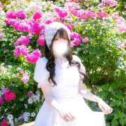 ヒメ日記 2026/05/23 15:41 投稿 はな（極上SPコース対応） LIGHT（ライト）～光が導く無限の可能性～