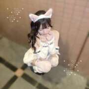 ヒメ日記 2026/07/03 15:51 投稿 はな（極上SPコース対応） LIGHT（ライト）～光が導く無限の可能性～