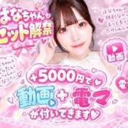 ヒメ日記 2026/09/15 18:21 投稿 はな（極上SPコース対応） LIGHT（ライト）～光が導く無限の可能性～