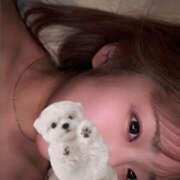 ヒメ日記 2025/12/09 18:02 投稿 りあ（極上SPコース対応） LIGHT（ライト）～光が導く無限の可能性～