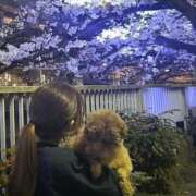 ヒメ日記 2025/12/16 20:31 投稿 りあ（極上SPコース対応） LIGHT（ライト）～光が導く無限の可能性～