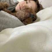 ヒメ日記 2025/12/17 18:41 投稿 りあ（極上SPコース対応） LIGHT（ライト）～光が導く無限の可能性～