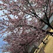 ヒメ日記 2025/03/26 00:27 投稿 日比野 環 バルボラ マリン