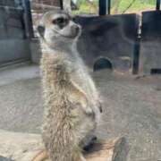 ヒメ日記 2025/05/02 19:07 投稿 日比野 環 バルボラ マリン