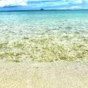 ヒメ日記 2025/06/04 16:27 投稿 日比野 環 バルボラ マリン