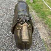 ヒメ日記 2025/07/28 23:14 投稿 日比野 環 バルボラ マリン