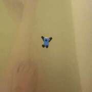 ヒメ日記 2025/09/10 23:17 投稿 日比野 環 バルボラ マリン