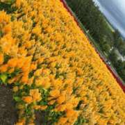 ヒメ日記 2025/09/16 10:57 投稿 日比野 環 バルボラ マリン