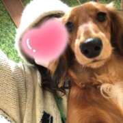 ヒメ日記 2025/03/14 14:56 投稿 ゆずな One More 奥様　西船橋店