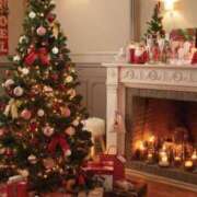 ヒメ日記 2024/12/24 15:39 投稿 ミユ EN