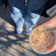 ヒメ日記 2025/10/30 09:09 投稿 ミユ EN