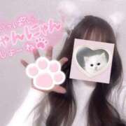 ヒメ日記 2025/03/29 12:58 投稿 ゆあ RIZE（リゼ）