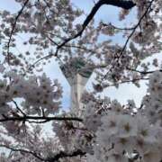 ヒメ日記 2025/04/12 14:58 投稿 ゆあ RIZE（リゼ）