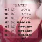 ヒメ日記 2025/04/14 16:28 投稿 ゆあ RIZE（リゼ）