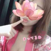 ヒメ日記 2025/05/02 15:37 投稿 あさひ さくらん