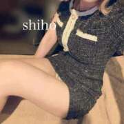 シホ 次回? アリスマリオン