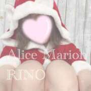 ヒメ日記 2024/12/21 10:46 投稿 リノ アリスマリオン