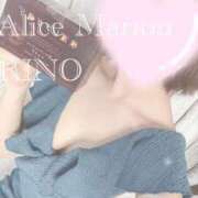 ヒメ日記 2024/12/29 16:46 投稿 リノ アリスマリオン