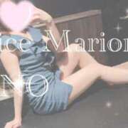 ヒメ日記 2025/11/24 00:16 投稿 リノ アリスマリオン