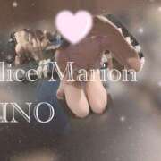 ヒメ日記 2025/11/29 16:46 投稿 リノ アリスマリオン