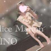 ヒメ日記 2025/11/30 10:16 投稿 リノ アリスマリオン