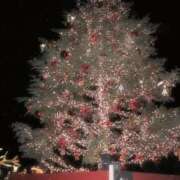 ヒメ日記 2024/12/25 09:46 投稿 アキ アリスマリオン