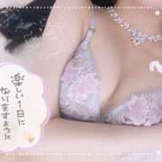 ヒメ日記 2024/12/07 15:38 投稿 つばき Okini川越