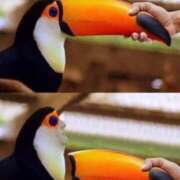 ヒメ日記 2025/03/16 19:02 投稿 しゃあ メンヘラ専門デリヘル ゼロワン 横浜本店