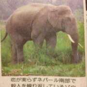 ヒメ日記 2025/05/16 19:42 投稿 しゃあ メンヘラ専門デリヘル ゼロワン 横浜本店