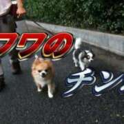 ヒメ日記 2025/05/30 01:42 投稿 しゃあ メンヘラ専門デリヘル ゼロワン 横浜本店