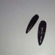 ヒメ日記 2025/06/16 05:32 投稿 しゃあ メンヘラ専門デリヘル ゼロワン 横浜本店