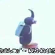 ヒメ日記 2025/06/21 16:52 投稿 しゃあ メンヘラ専門デリヘル ゼロワン 横浜本店