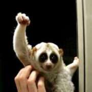 ヒメ日記 2025/06/29 15:22 投稿 しゃあ メンヘラ専門デリヘル ゼロワン 横浜本店