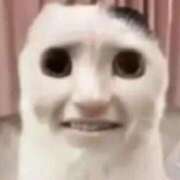 ヒメ日記 2025/06/30 11:32 投稿 しゃあ メンヘラ専門デリヘル ゼロワン 横浜本店