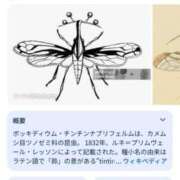 ヒメ日記 2025/08/07 16:22 投稿 しゃあ メンヘラ専門デリヘル ゼロワン 横浜本店