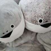 ヒメ日記 2025/08/08 11:22 投稿 しゃあ メンヘラ専門デリヘル ゼロワン 横浜本店