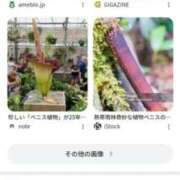 ヒメ日記 2025/08/08 22:12 投稿 しゃあ メンヘラ専門デリヘル ゼロワン 横浜本店