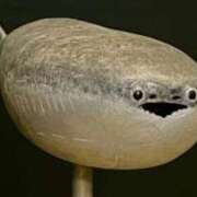 ヒメ日記 2025/08/21 17:22 投稿 しゃあ メンヘラ専門デリヘル ゼロワン 横浜本店