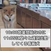 ヒメ日記 2025/08/31 18:29 投稿 しゃあ メンヘラ専門デリヘル ゼロワン 横浜本店