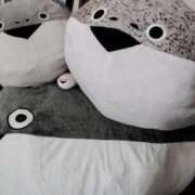 ヒメ日記 2025/09/09 13:02 投稿 しゃあ メンヘラ専門デリヘル ゼロワン 横浜本店