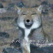 ヒメ日記 2025/09/12 19:22 投稿 しゃあ メンヘラ専門デリヘル ゼロワン 横浜本店