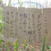 ヒメ日記 2025/09/14 20:22 投稿 しゃあ メンヘラ専門デリヘル ゼロワン 横浜本店