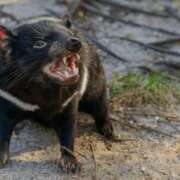 ヒメ日記 2025/10/04 21:22 投稿 しゃあ メンヘラ専門デリヘル ゼロワン 横浜本店