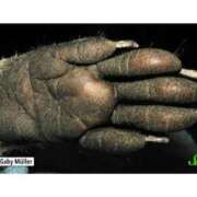 ヒメ日記 2025/10/25 18:03 投稿 しゃあ メンヘラ専門デリヘル ゼロワン 横浜本店