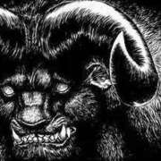 ヒメ日記 2025/12/07 12:52 投稿 しゃあ メンヘラ専門デリヘル ゼロワン 横浜本店