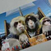 ヒメ日記 2025/12/13 17:12 投稿 しゃあ メンヘラ専門デリヘル ゼロワン 横浜本店