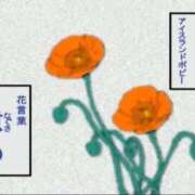 ヒメ日記 2025/12/14 19:16 投稿 しゃあ メンヘラ専門デリヘル ゼロワン 横浜本店